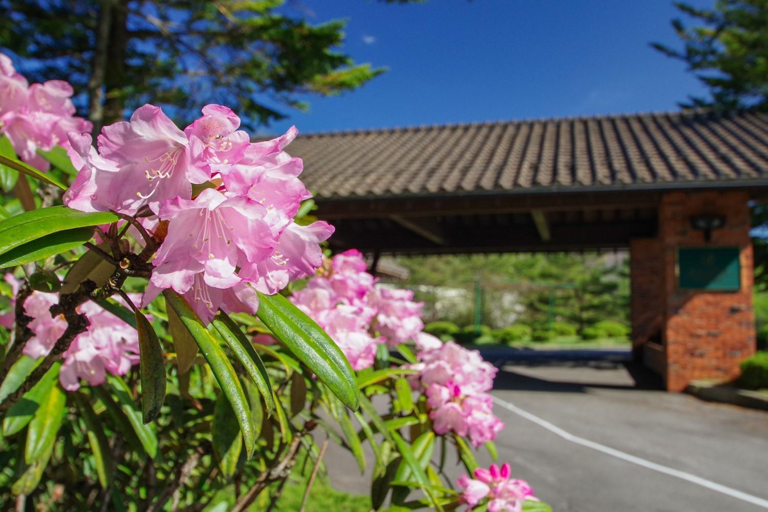 Tsumagoi Prince Hotel Exteriör bild
